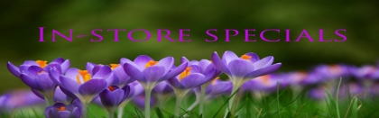 spring banner.jpg