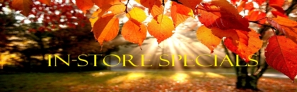 Fall Banner.jpg